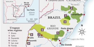 Carte de l'Uruguay vin